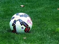 武汉马拉松,邂逅樱花盛,开季,博鱼体育官网,博鱼体育app,博鱼体育APP下载