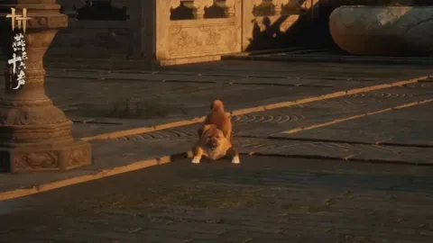 李昊恋情升温！女友社交媒体官宣：他将扎根青岛西海岸，网友热议不止！